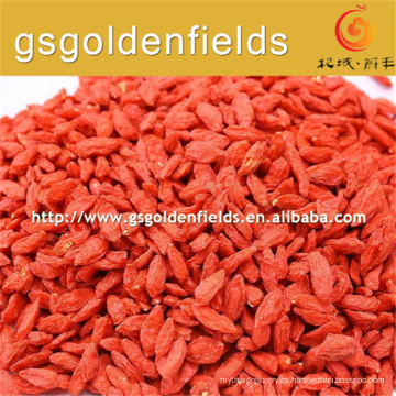 precio de la baya de goji / baya de goji de ningxia / baya de goji orgánica certificada a granel